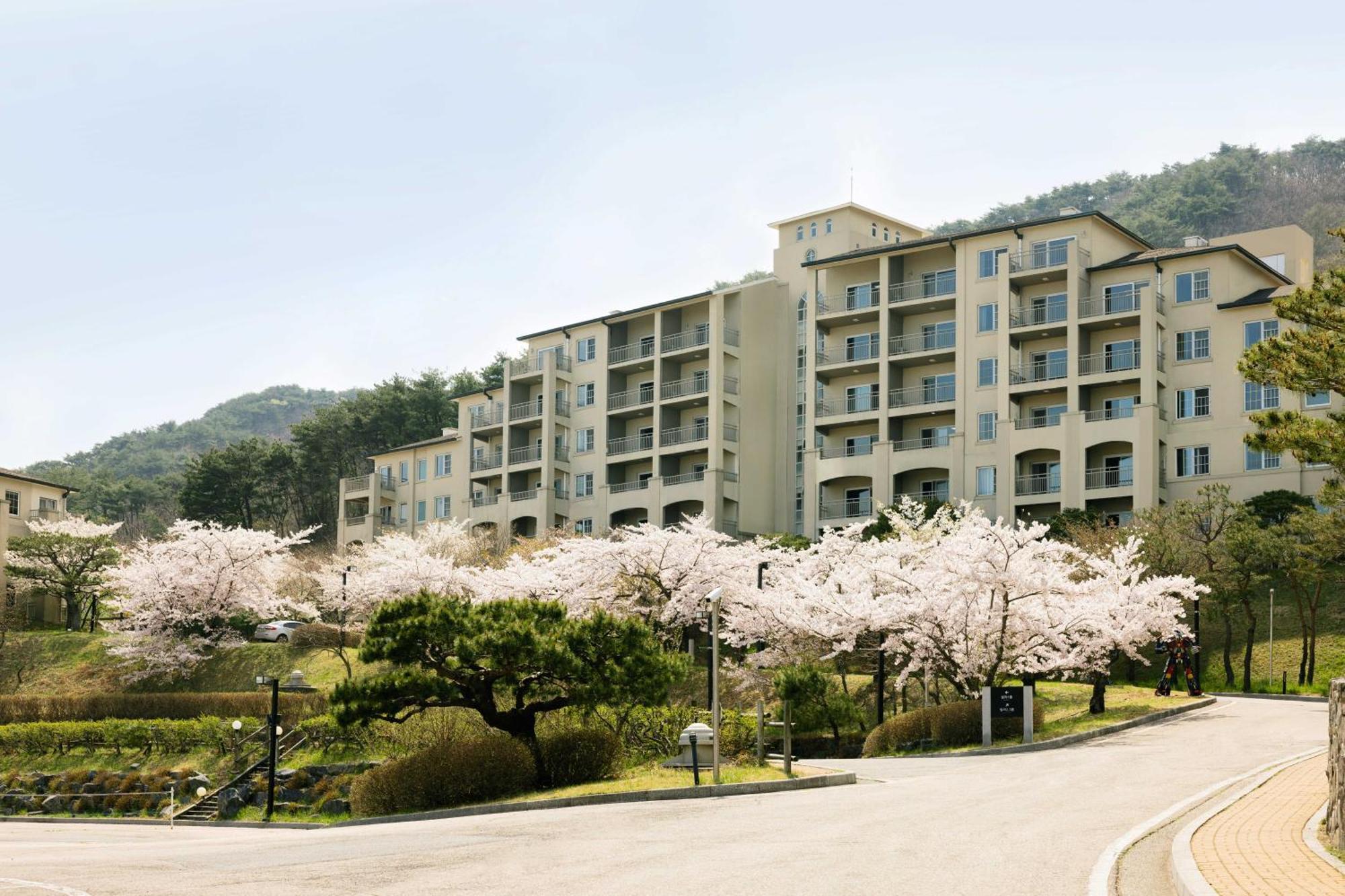 Gyeongju Mauna Ocean Resort Kültér fotó