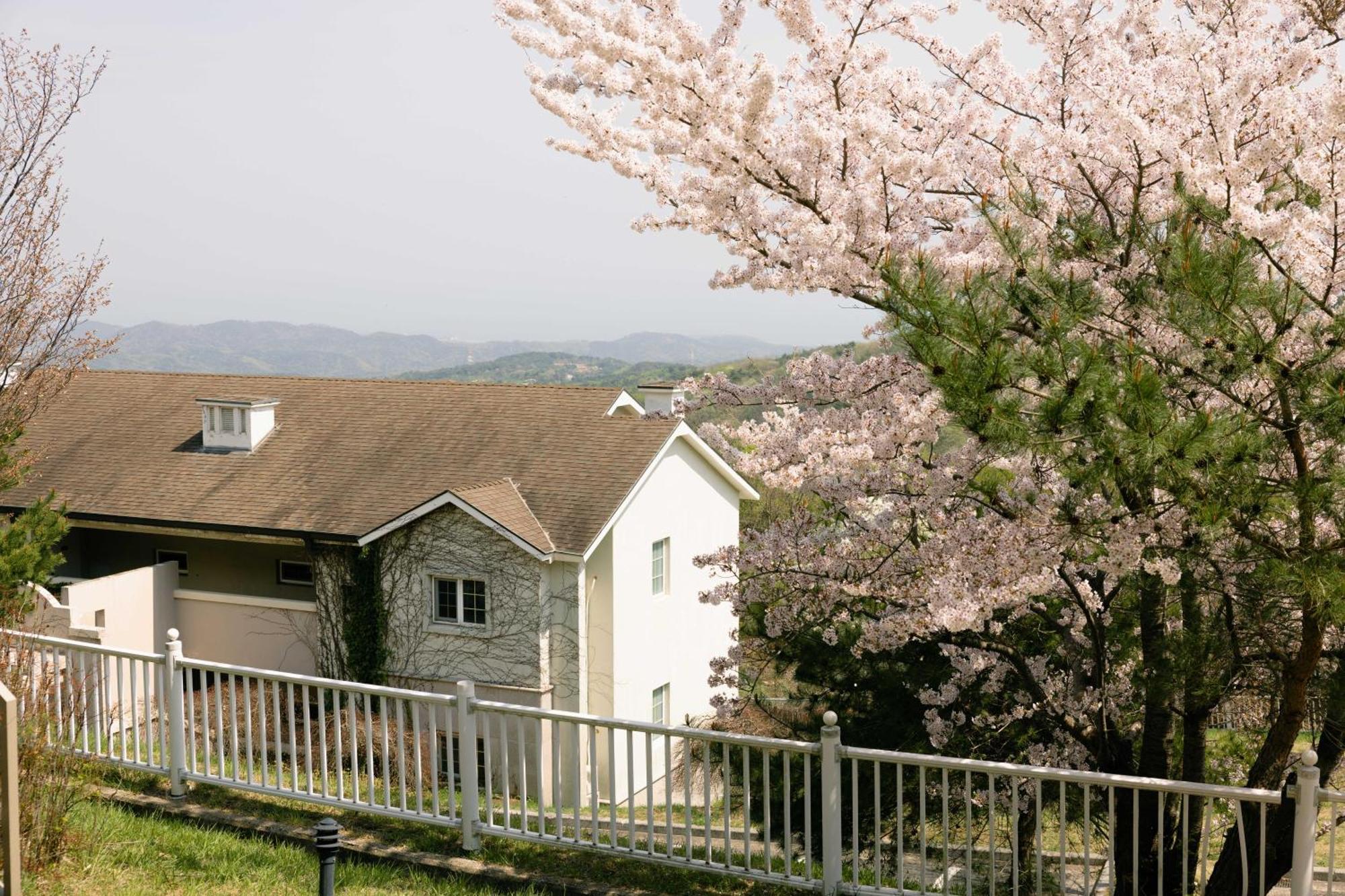Gyeongju Mauna Ocean Resort Kültér fotó